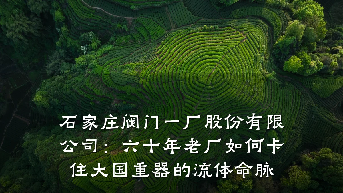 石家庄阀门一厂股份有限公司：六十年老厂如何卡住大国重器的流体命脉
