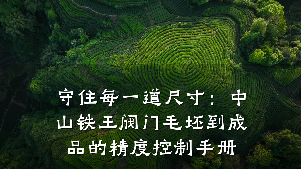 守住每一道尺寸:中山铁王阀门毛坯到成品的精度控制手册