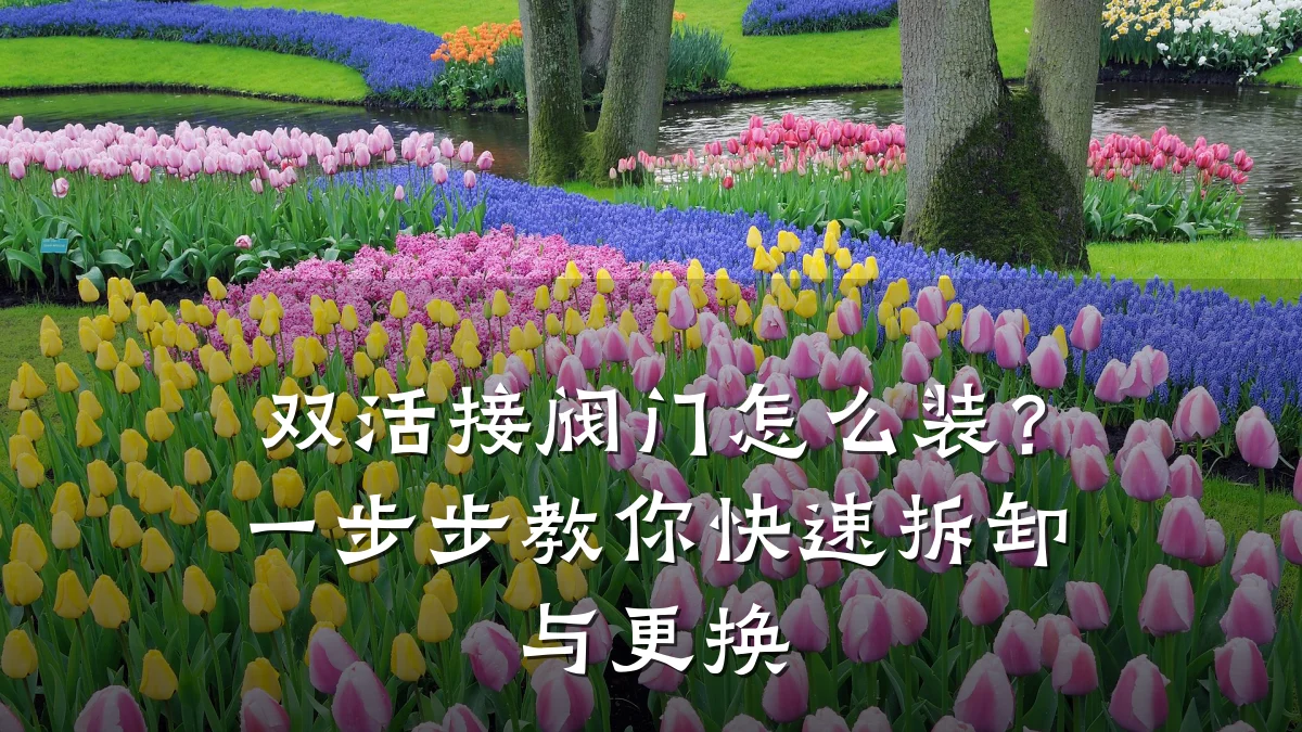 双活接阀门怎么装？一步步教你快速拆卸与更换