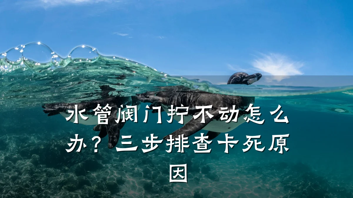 水管阀门拧不动怎么办？三步排查卡死原因