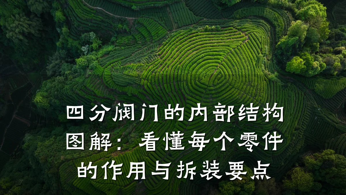 四分阀门的内部结构图解：看懂每个零件的作用与拆装要点