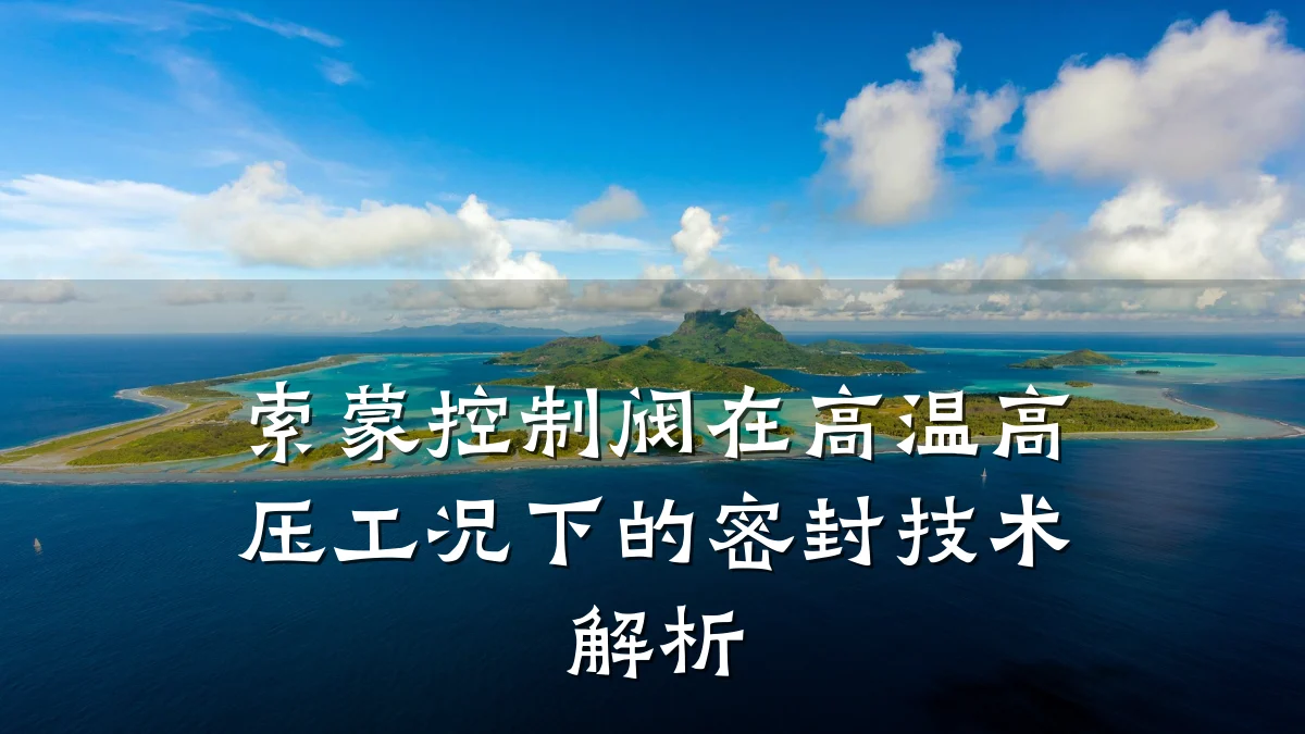 索蒙控制阀在高温高压工况下的密封技术解析