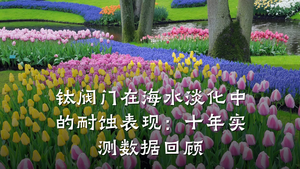 钛阀门在海水淡化中的耐蚀表现：十年实测数据回顾