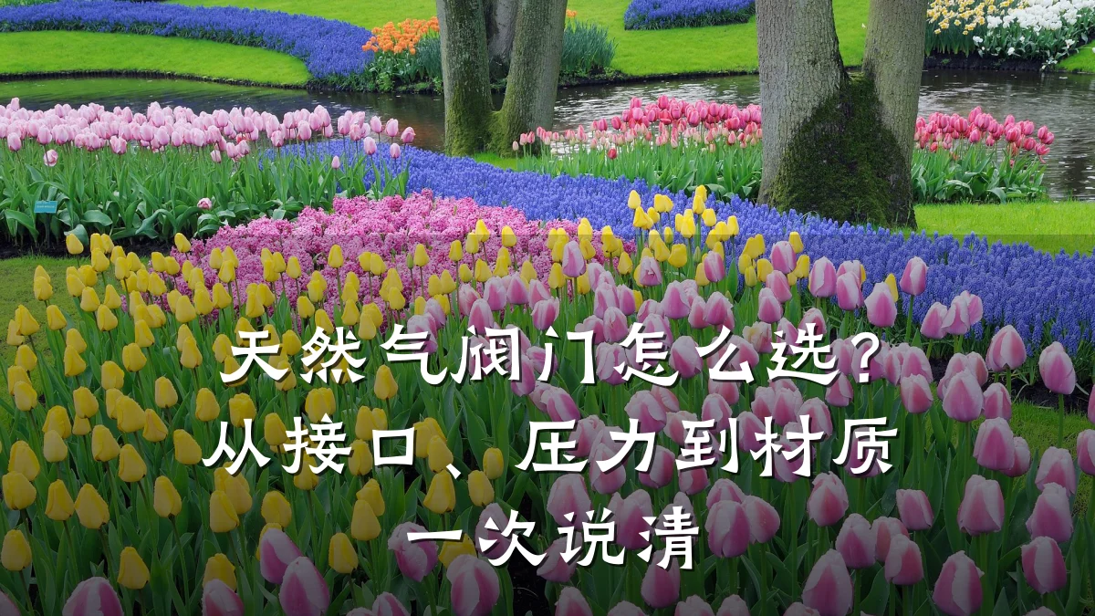 天然气阀门怎么选？从接口、压力到材质一次说清