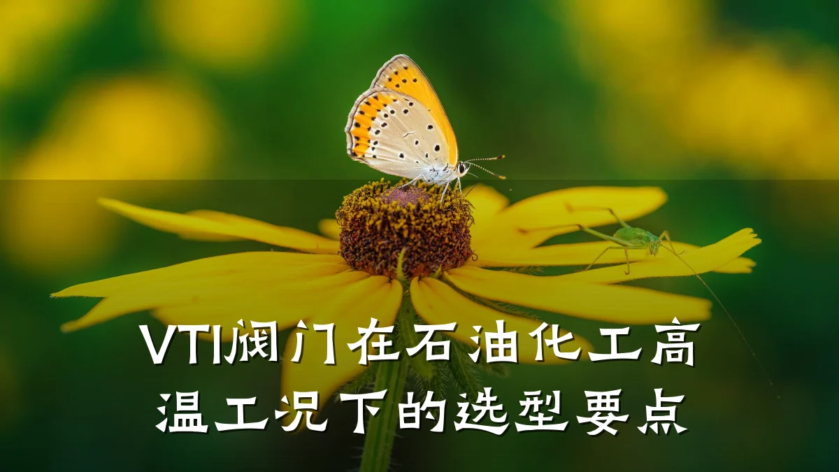 VTI阀门在石油化工高温工况下的选型要点