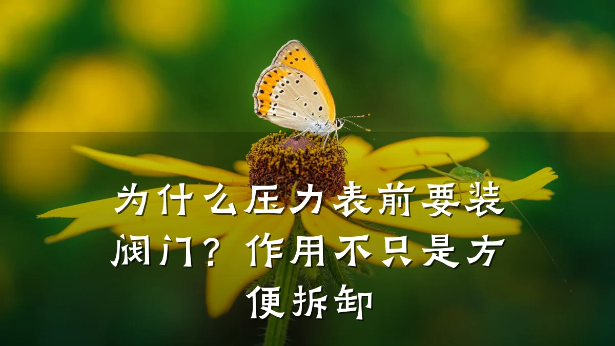 为什么压力表前要装阀门？作用不只是方便拆卸