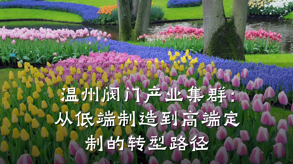温州阀门产业集群：从低端制造到高端定制的转型路径