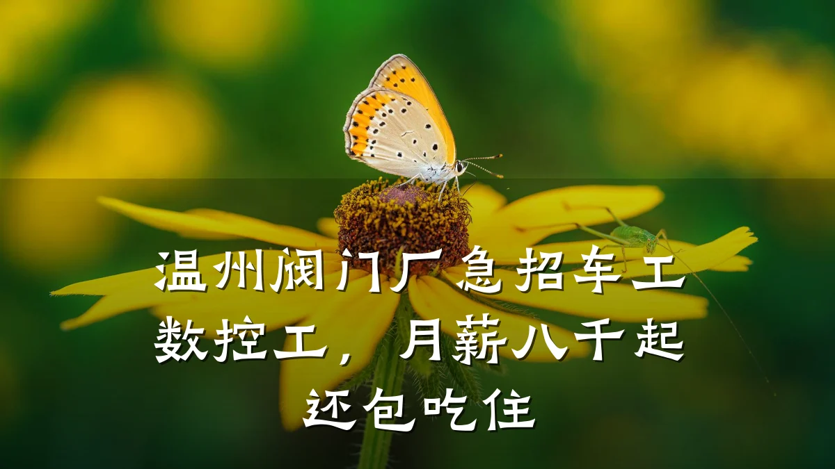温州阀门厂急招车工数控工，月薪八千起还包吃住