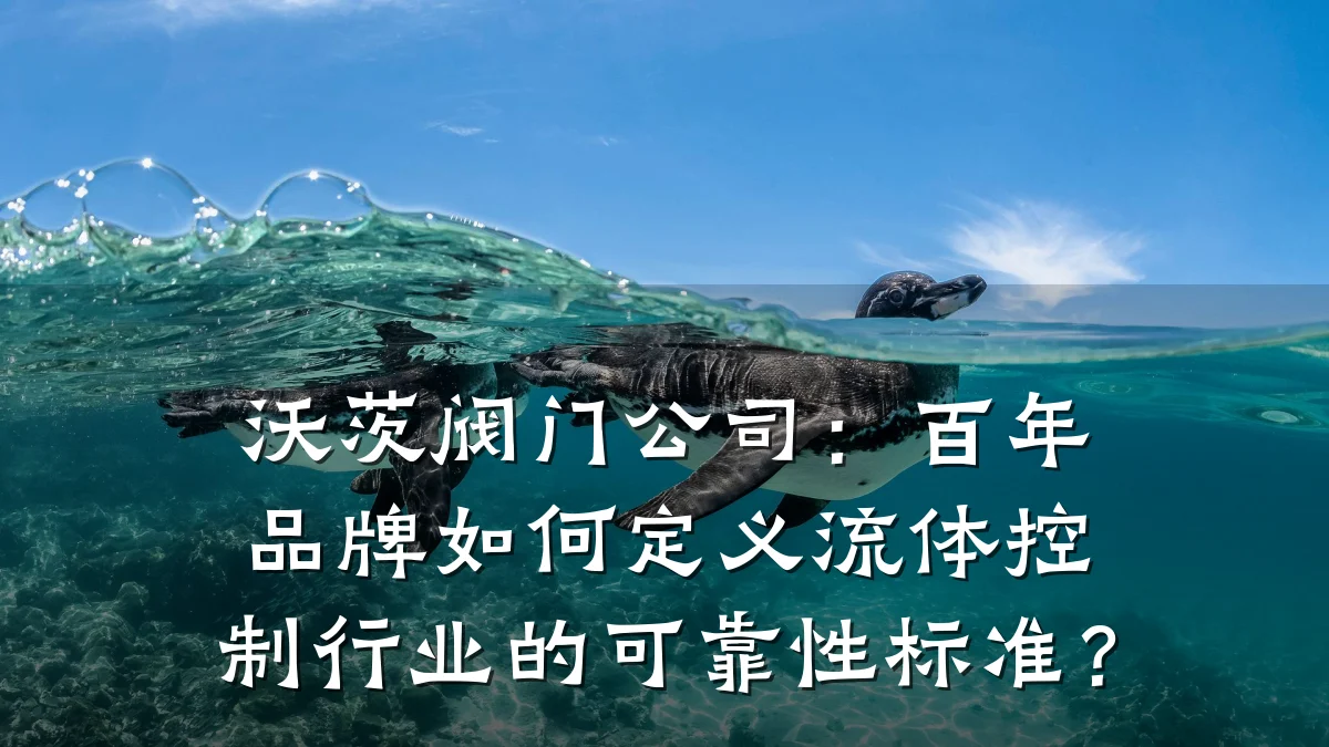 沃茨阀门公司：百年品牌如何定义流体控制行业的可靠性标准？