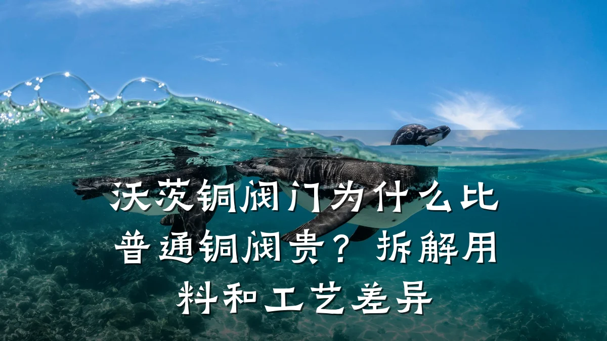 沃茨铜阀门为什么比普通铜阀贵？拆解用料和工艺差异