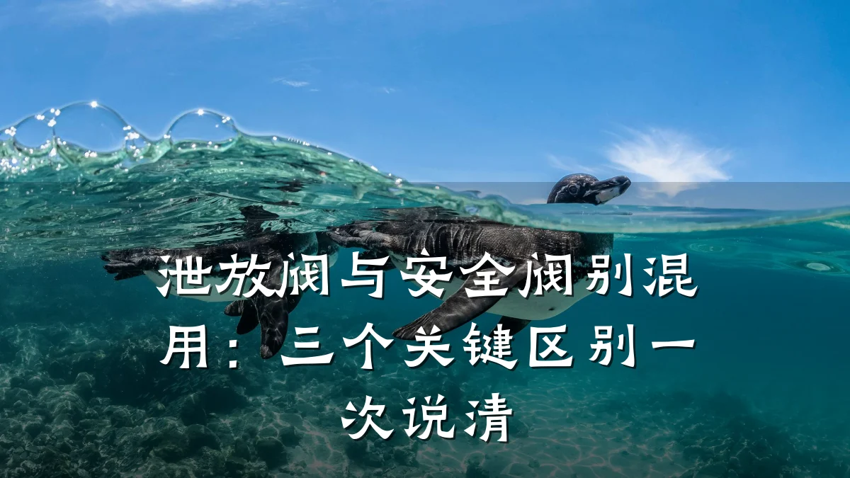 泄放阀与安全阀别混用：三个关键区别一次说清