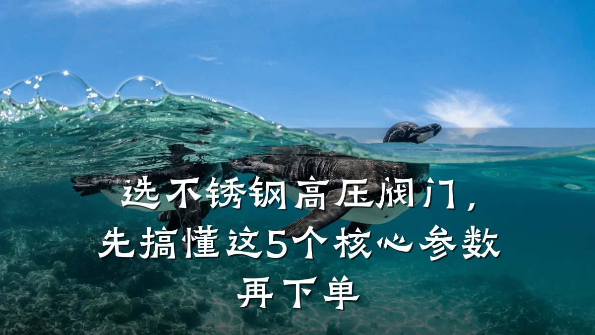 选不锈钢高压阀门，先搞懂这5个核心参数再下单