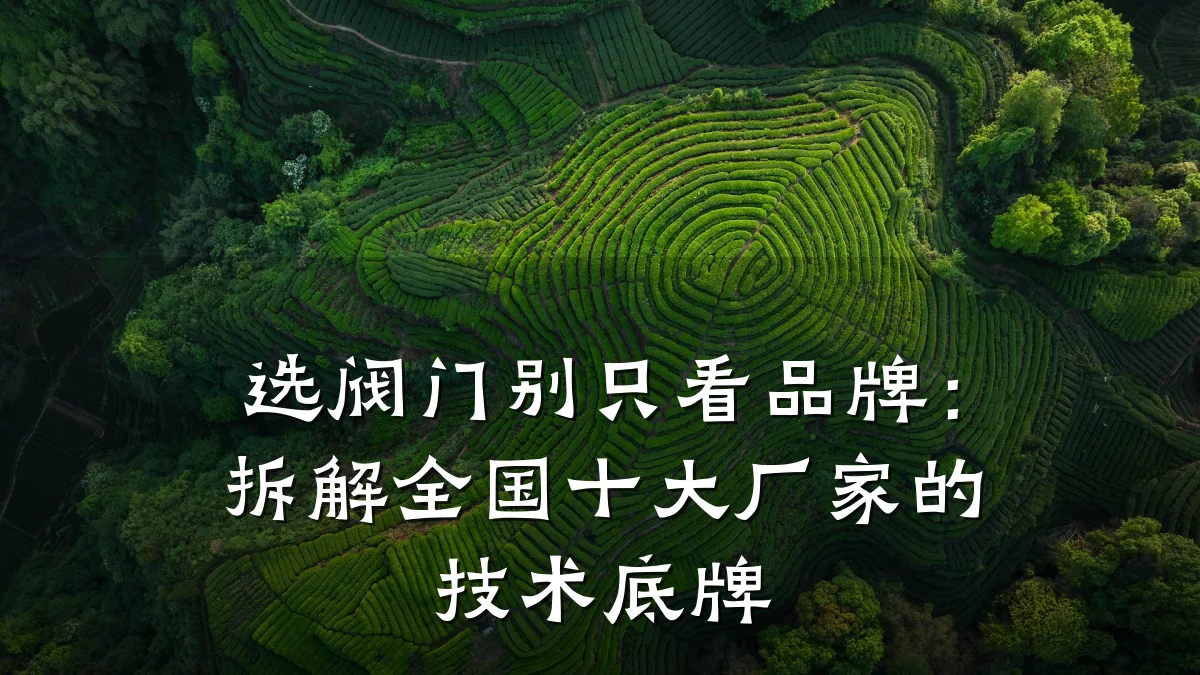 选阀门别只看品牌：拆解全国十大厂家的技术底牌