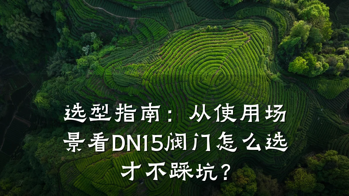 选型指南:从使用场景看DN15阀门怎么选才不踩坑?