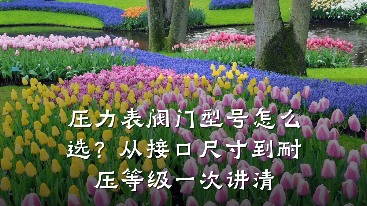 压力表阀门型号怎么选？从接口尺寸到耐压等级一次讲清