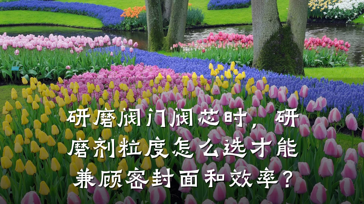 研磨阀门阀芯时,研磨剂粒度怎么选才能兼顾密封面和效率?