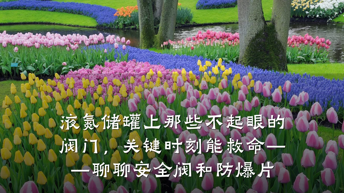 液氮储罐上那些不起眼的阀门，关键时刻能救命——聊聊安全阀和防爆片