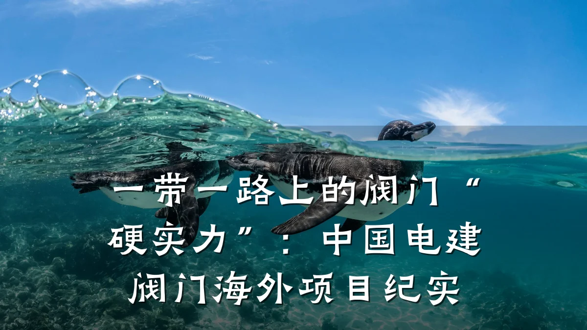 一带一路上的阀门“硬实力”：中国电建阀门海外项目纪实