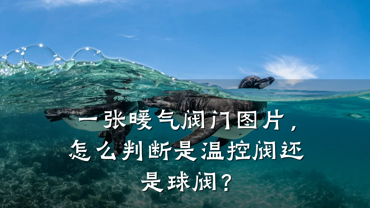 一张暖气阀门图片，怎么判断是温控阀还是球阀？