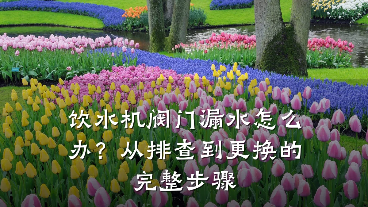饮水机阀门漏水怎么办？从排查到更换的完整步骤