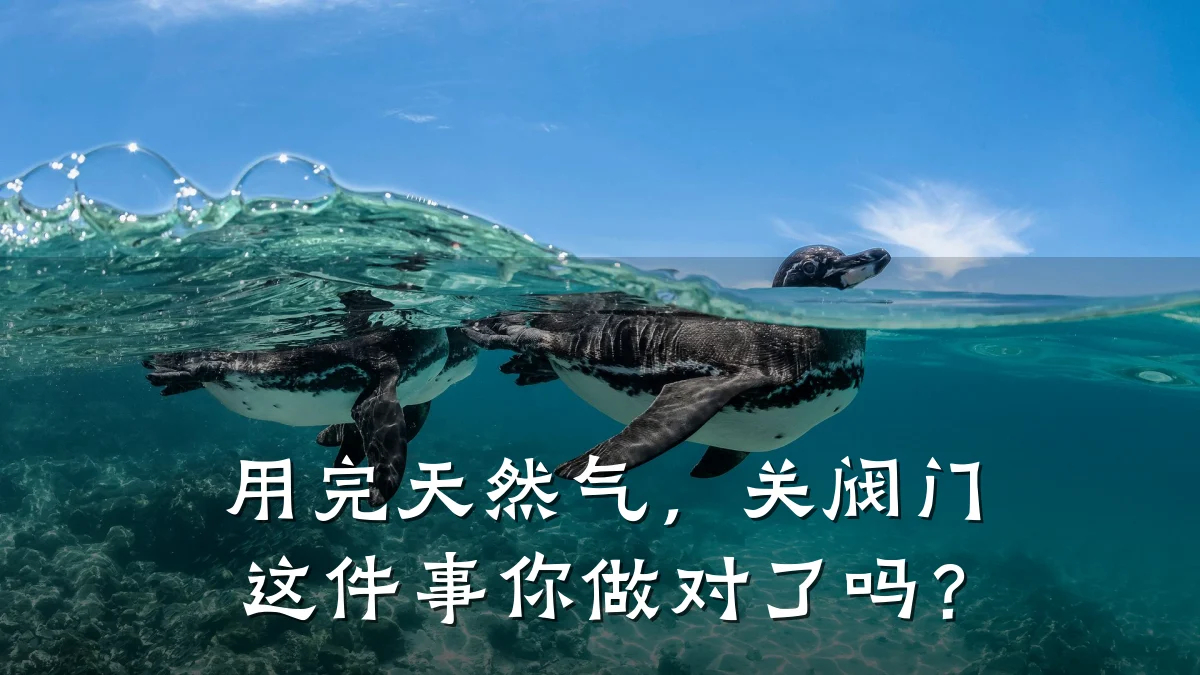 用完天然气，关阀门这件事你做对了吗？