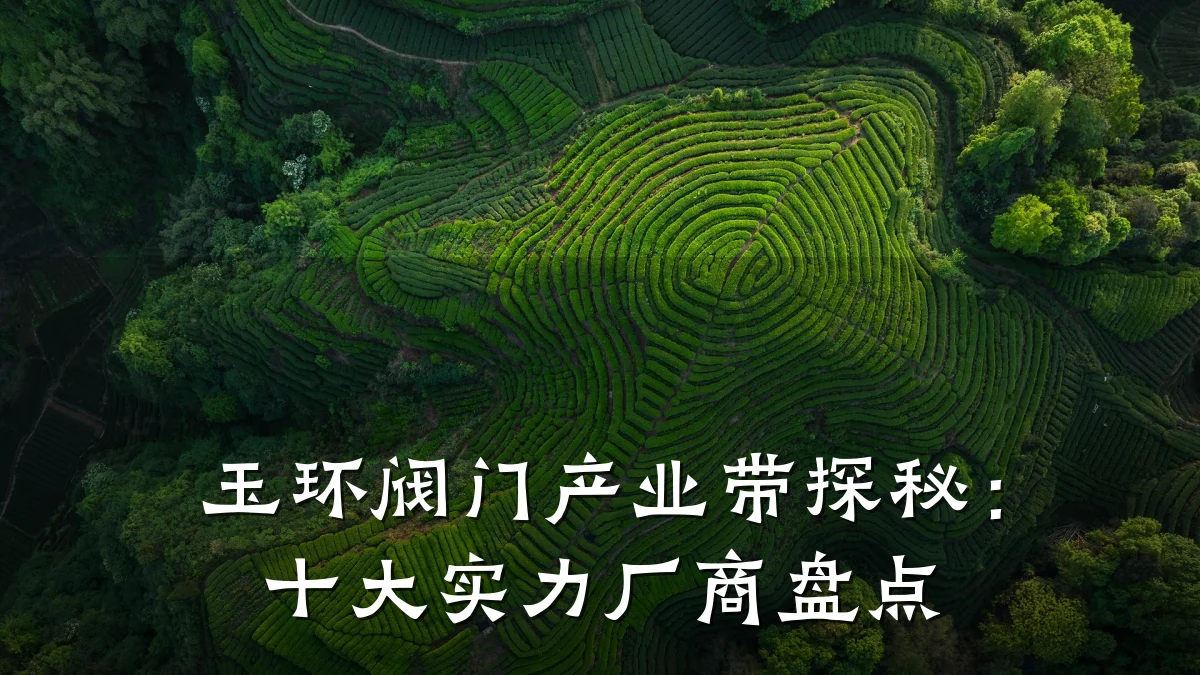 玉环阀门产业带探秘：十大实力厂商盘点
