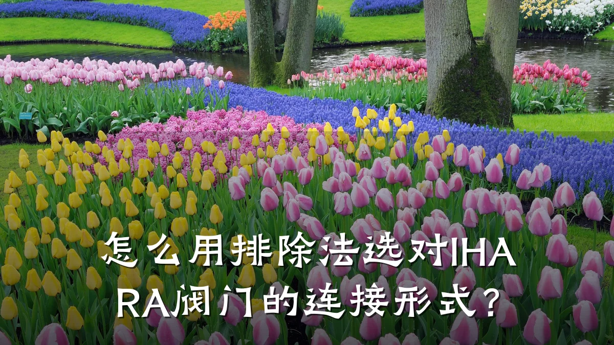 怎么用排除法选对IHARA阀门的连接形式？