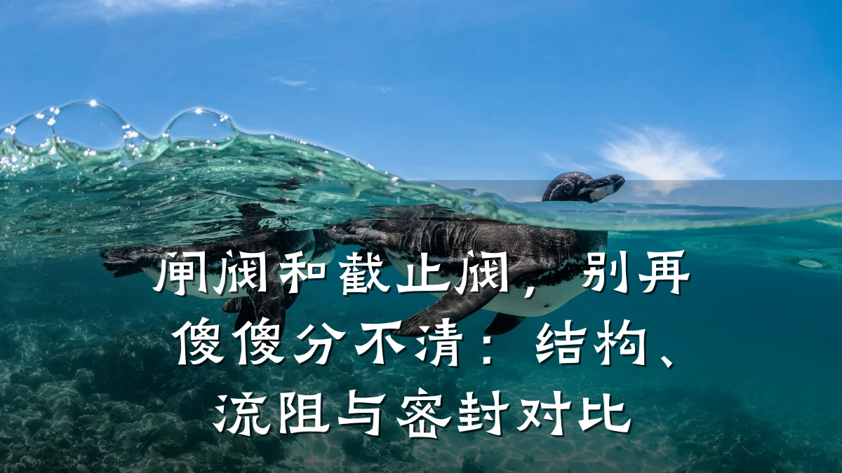 闸阀和截止阀，别再傻傻分不清：结构、流阻与密封对比