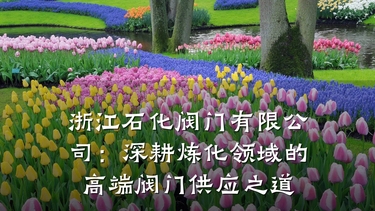 浙江石化阀门有限公司：深耕炼化领域的高端阀门供应之道