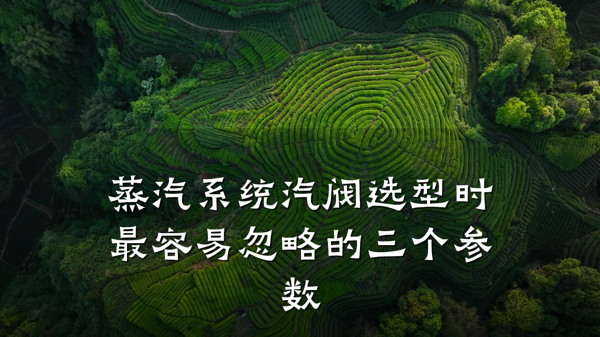 蒸汽系统汽阀选型时最容易忽略的三个参数