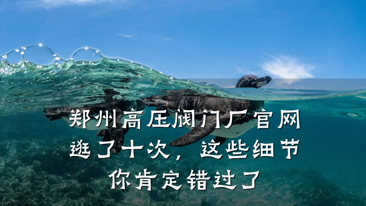 郑州高压阀门厂官网逛了十次，这些细节你肯定错过了