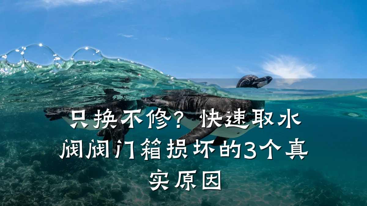 只换不修？快速取水阀阀门箱损坏的3个真实原因