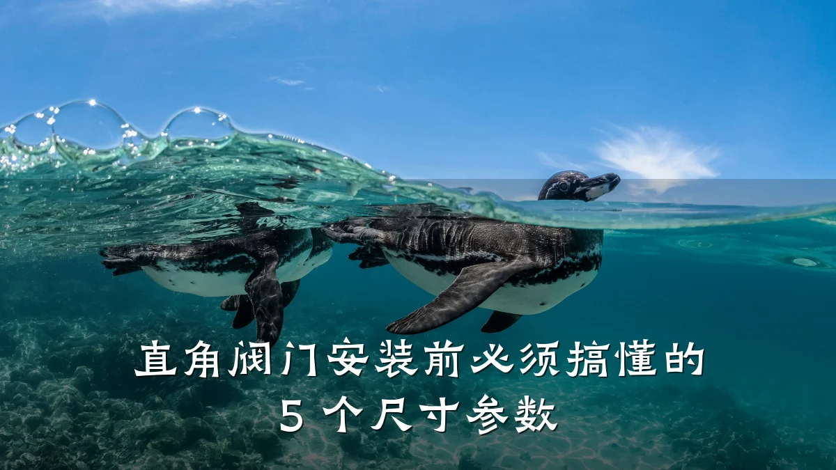 直角阀门安装前必须搞懂的 5 个尺寸参数