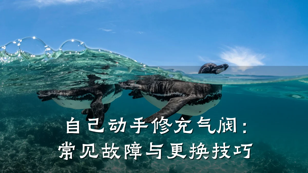 自己动手修充气阀：常见故障与更换技巧