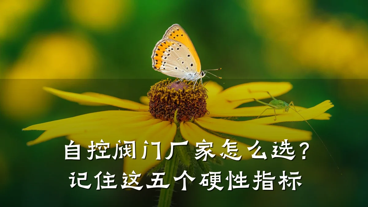 自控阀门厂家怎么选？记住这五个硬性指标