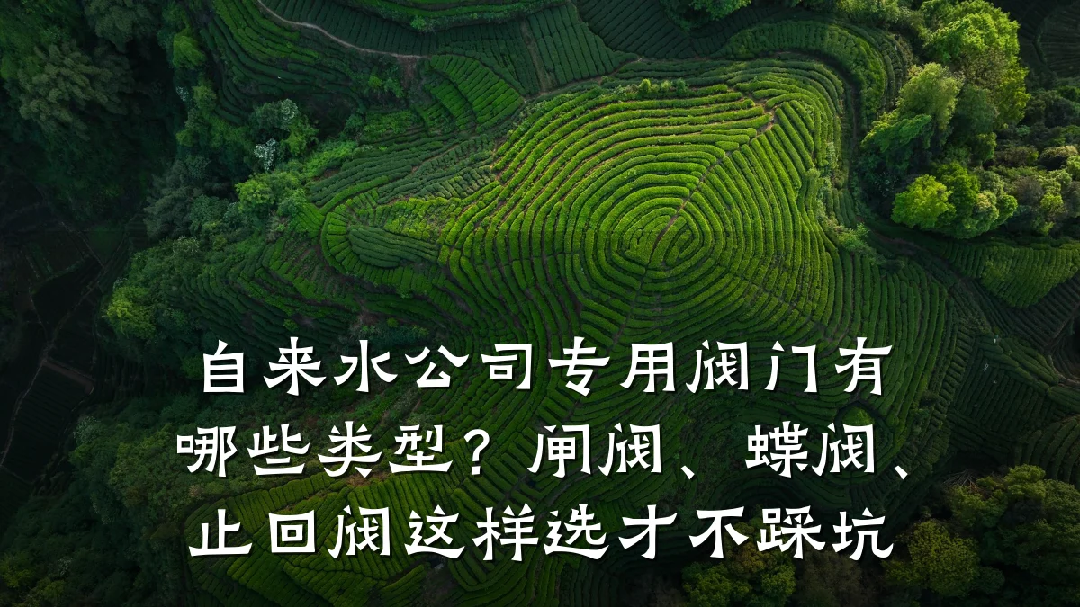 自来水公司专用阀门有哪些类型？闸阀、蝶阀、止回阀这样选才不踩坑