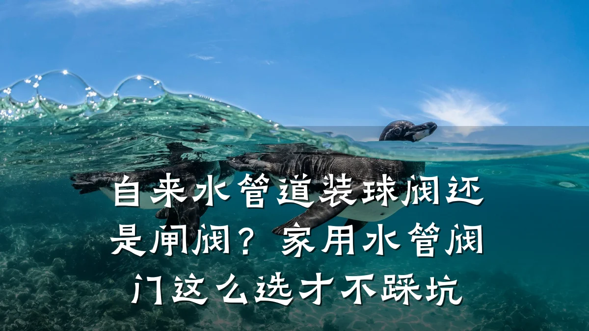 自来水管道装球阀还是闸阀？家用水管阀门这么选才不踩坑