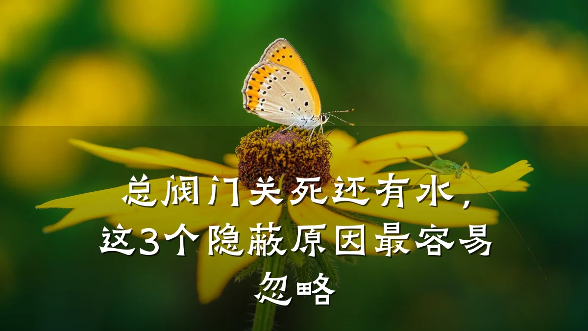 总阀门关死还有水，这3个隐蔽原因最容易忽略