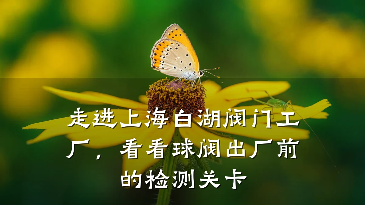 走进上海白湖阀门工厂，看看球阀出厂前的检测关卡