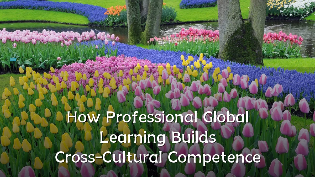 How Professional Global Learning Builds Cross-Cultural Competence