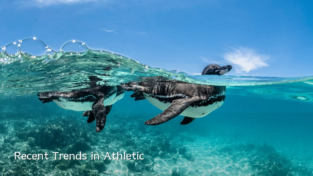 Recent Trends in Athletic