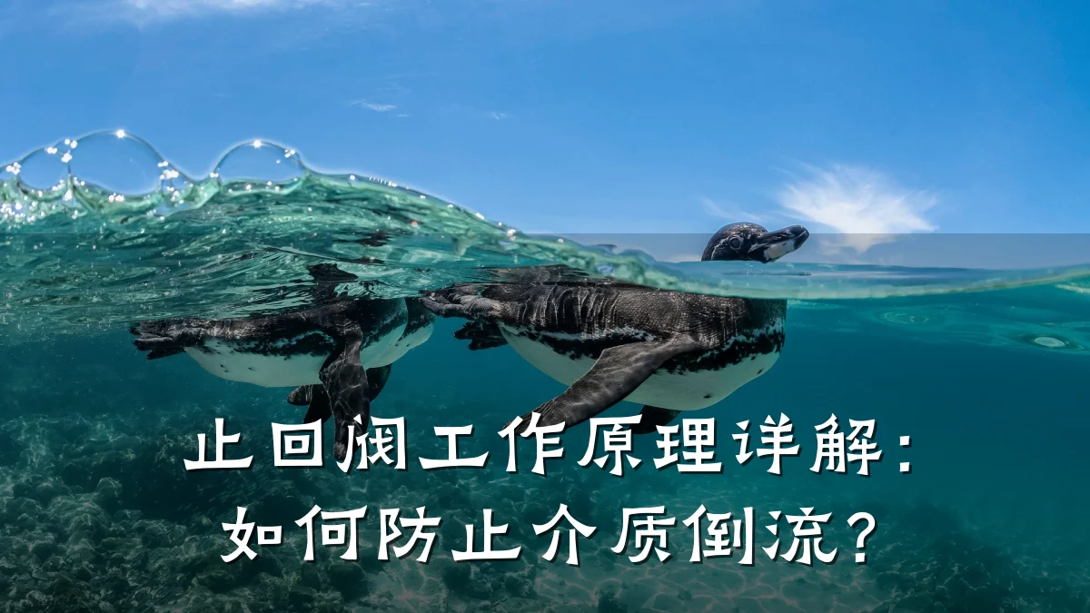 止回阀工作原理详解:如何防止介质倒流?