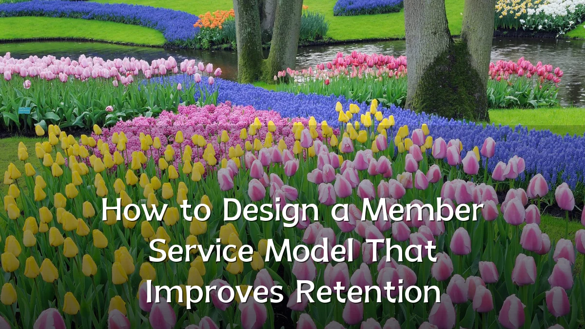 How to Design a Member Service Model That Improves Retention