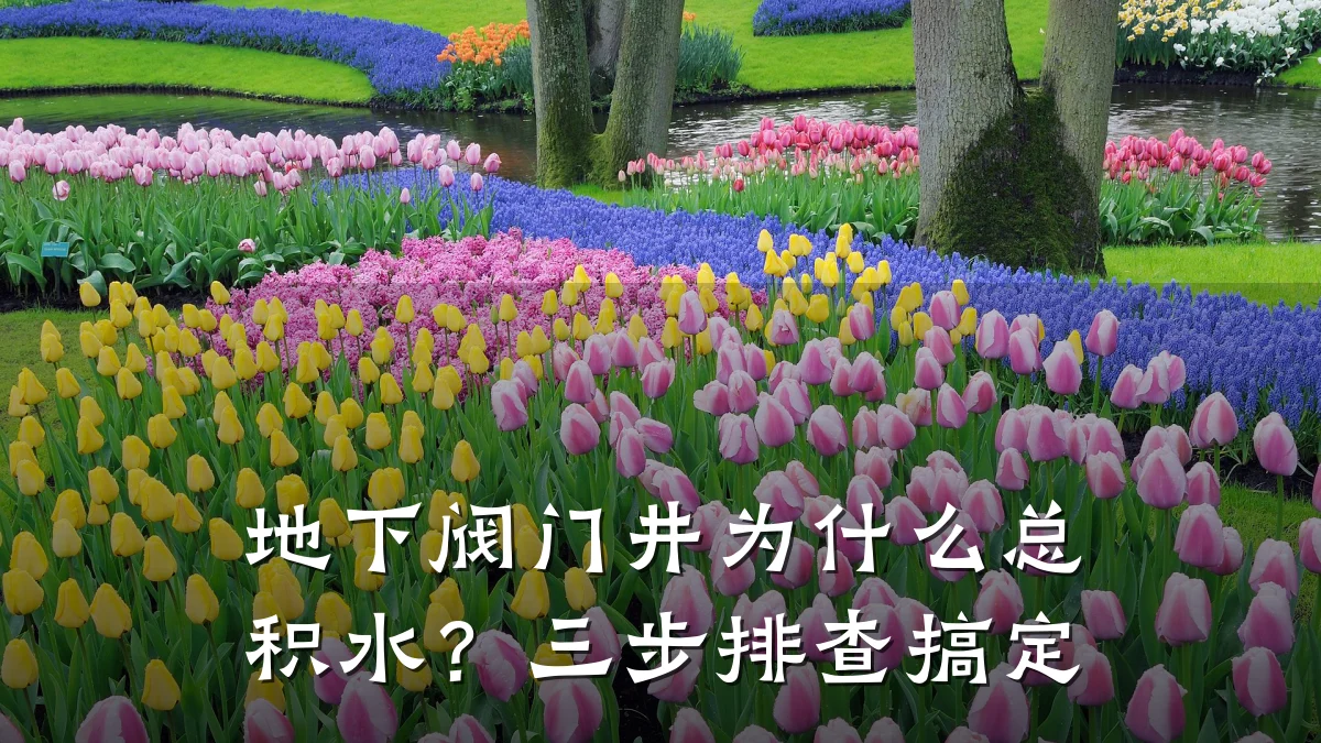 地下阀门井为什么总积水?三步排查搞定