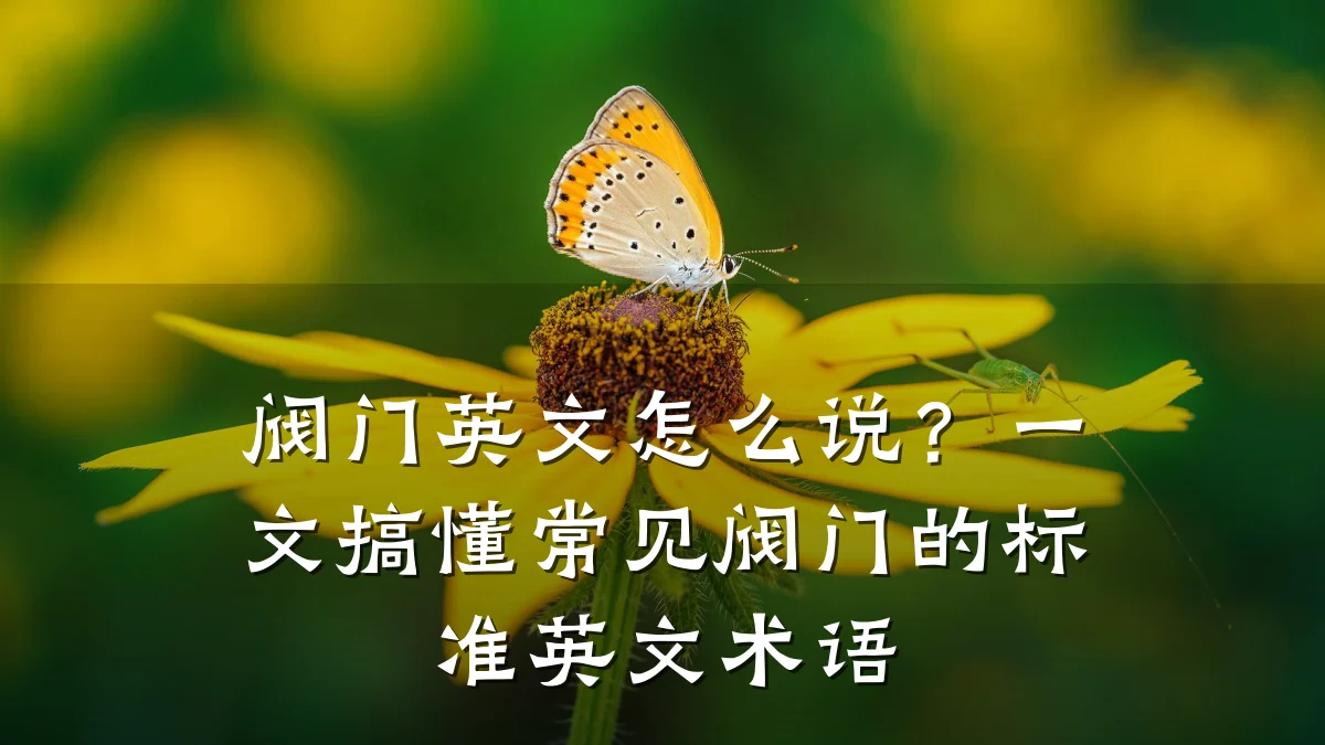 阀门英文怎么说？一文搞懂常见阀门的标准英文术语