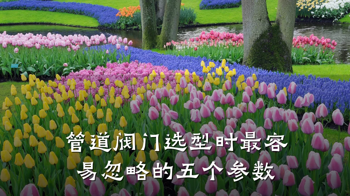 管道阀门选型时最容易忽略的五个参数