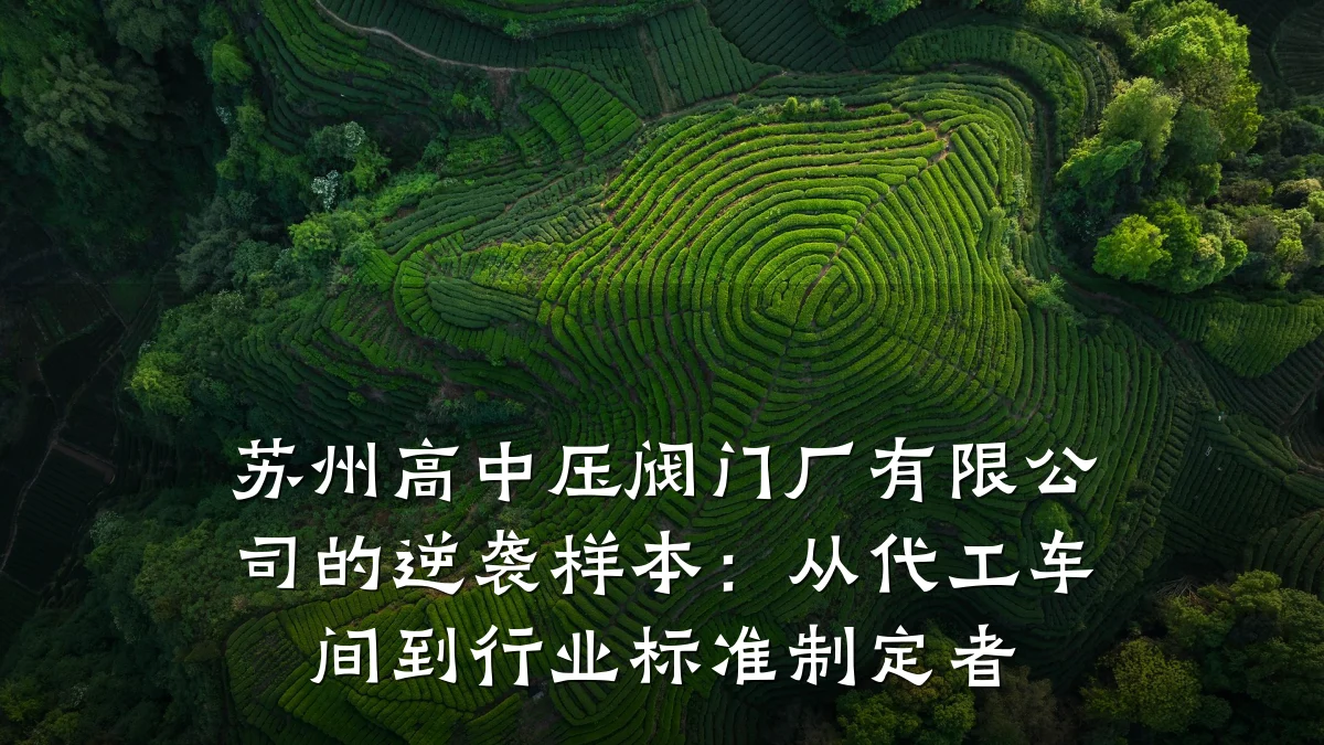 苏州高中压阀门厂有限公司的逆袭样本:从代工车间到行业标准制定者