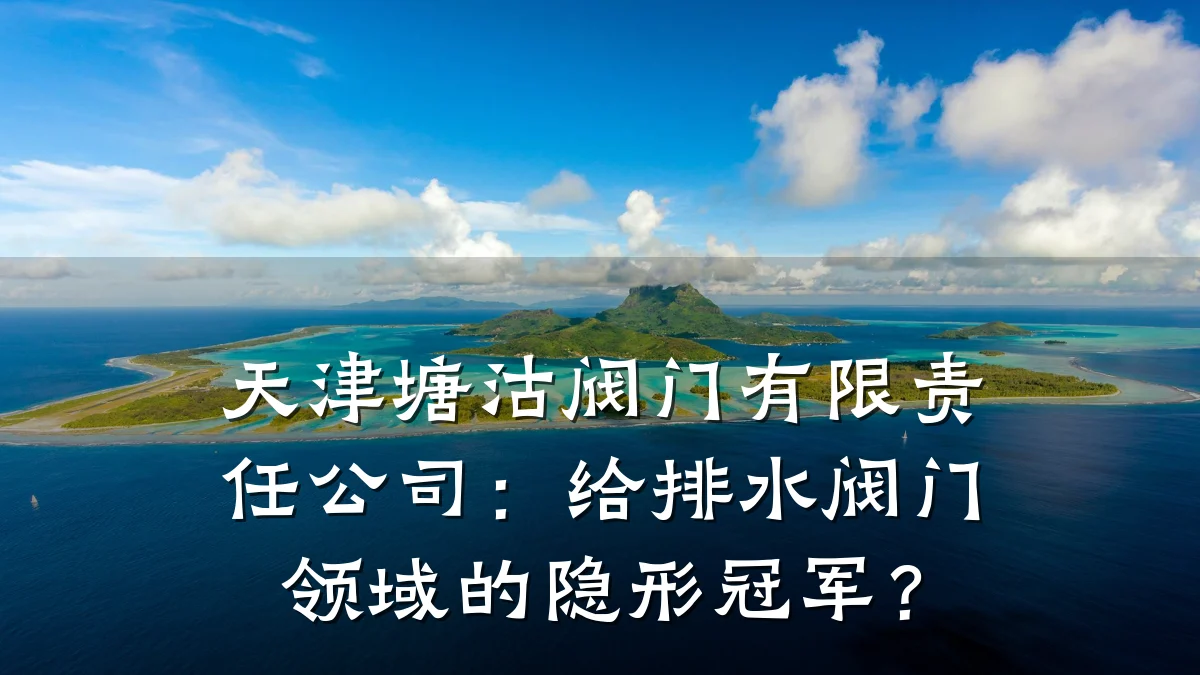 天津塘沽阀门有限责任公司:给排水阀门领域的隐形冠军?
