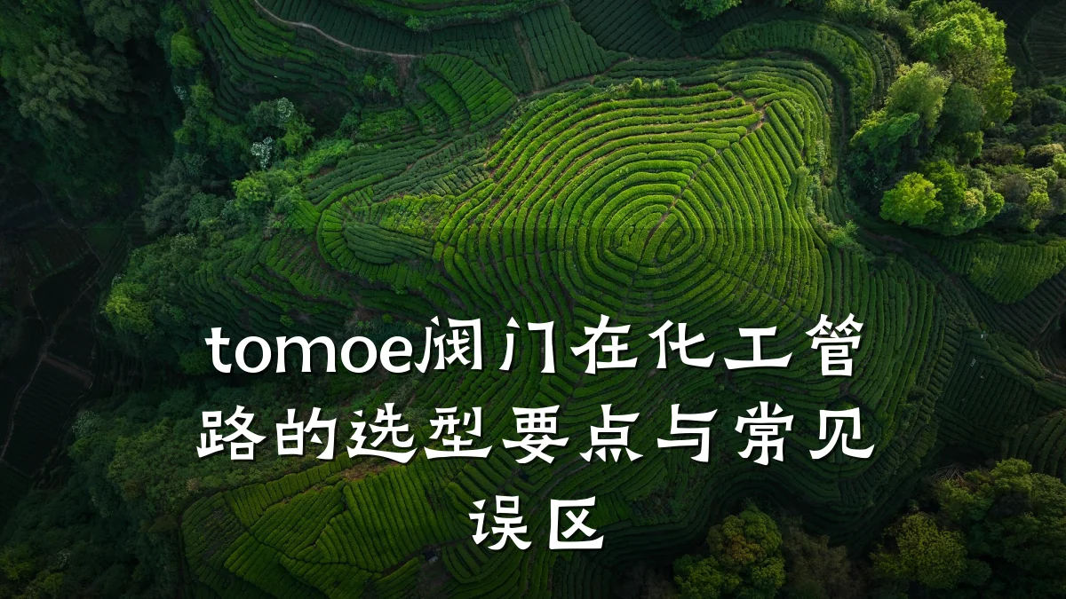 tomoe阀门在化工管路的选型要点与常见误区