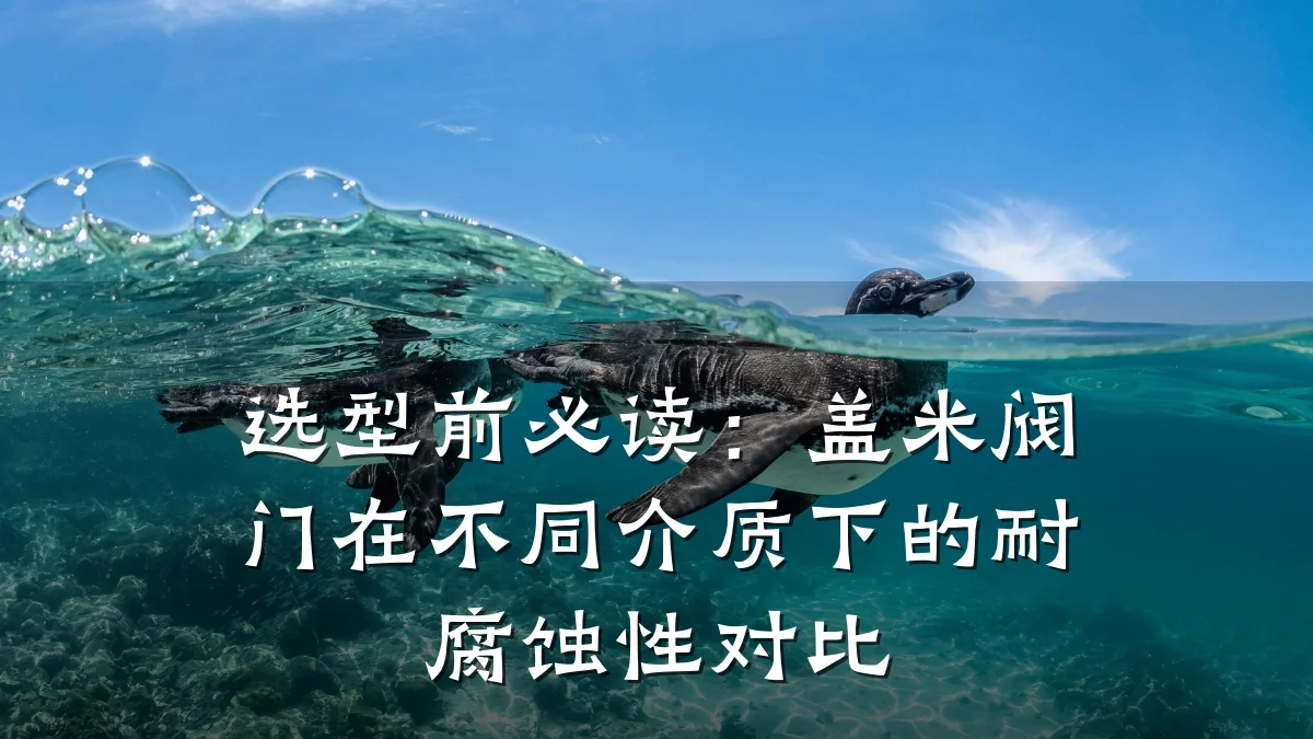 选型前必读:盖米阀门在不同介质下的耐腐蚀性对比